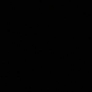 Meet your Posher, Luis